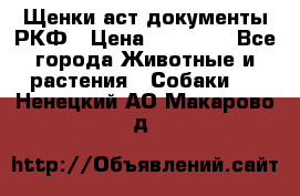 Щенки аст документы РКФ › Цена ­ 15 000 - Все города Животные и растения » Собаки   . Ненецкий АО,Макарово д.